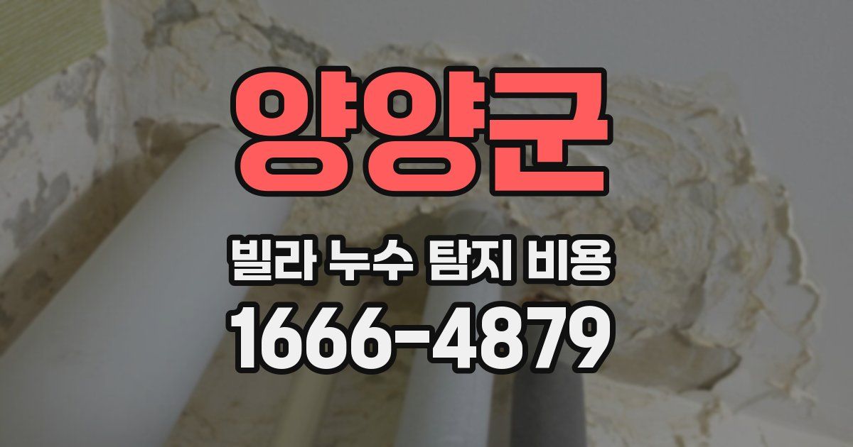 양양군 빌라 누수 탐지 비용