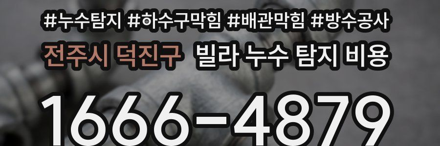 전주시 덕진구 빌라 누수 탐지 비용