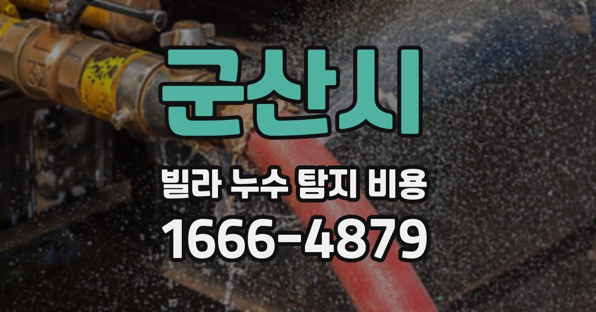 군산시 빌라 누수 탐지 비용