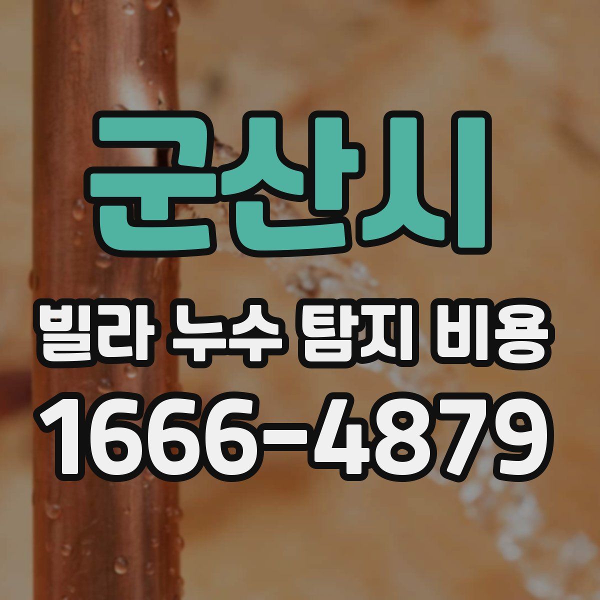 군산시 빌라 누수 탐지 비용