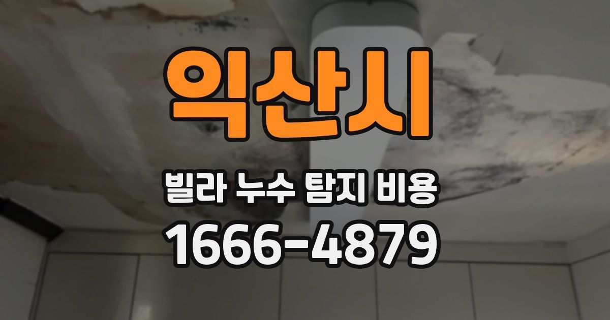 익산시 빌라 누수 탐지 비용