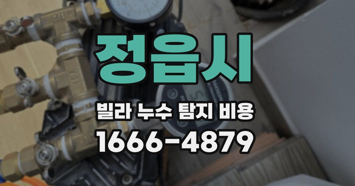 정읍시 빌라 누수 탐지 비용