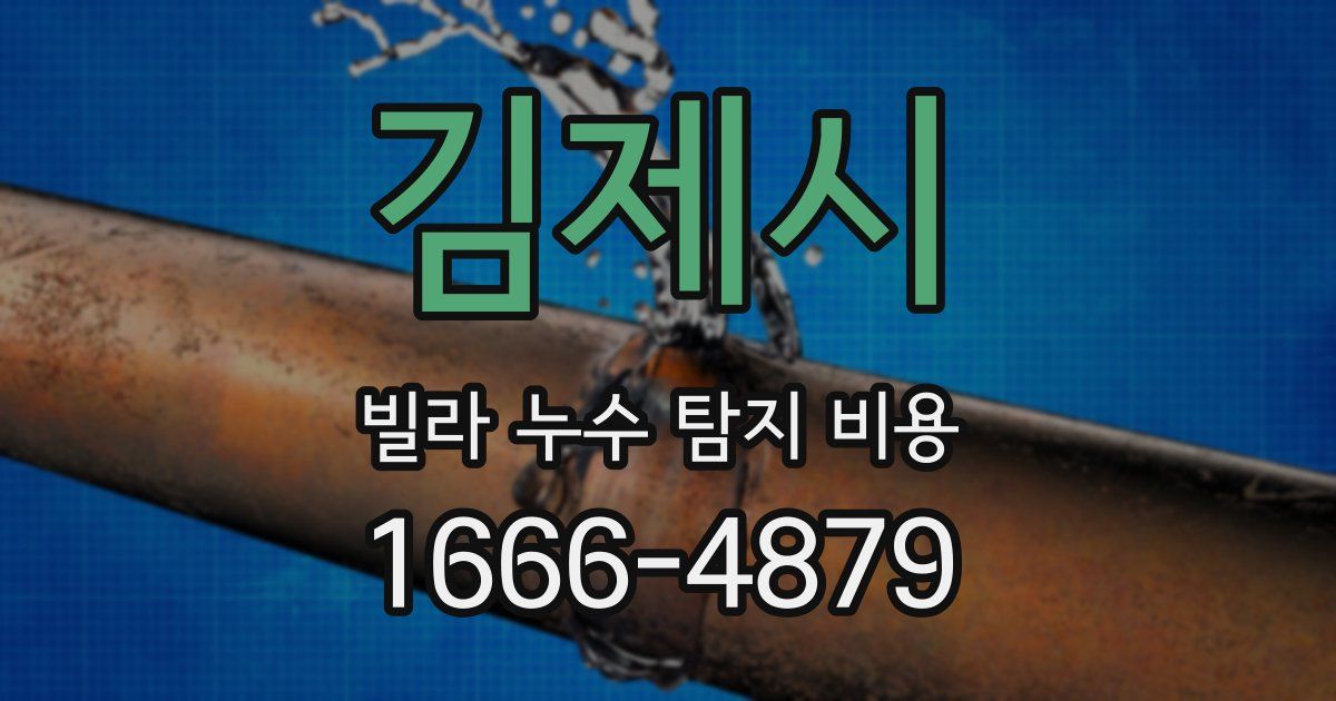 김제시 빌라 누수 탐지 비용