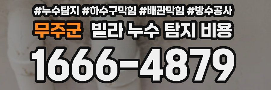 무주군 빌라 누수 탐지 비용