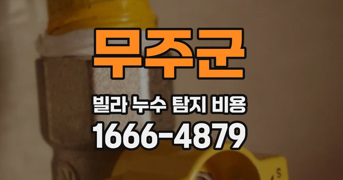 무주군 빌라 누수 탐지 비용
