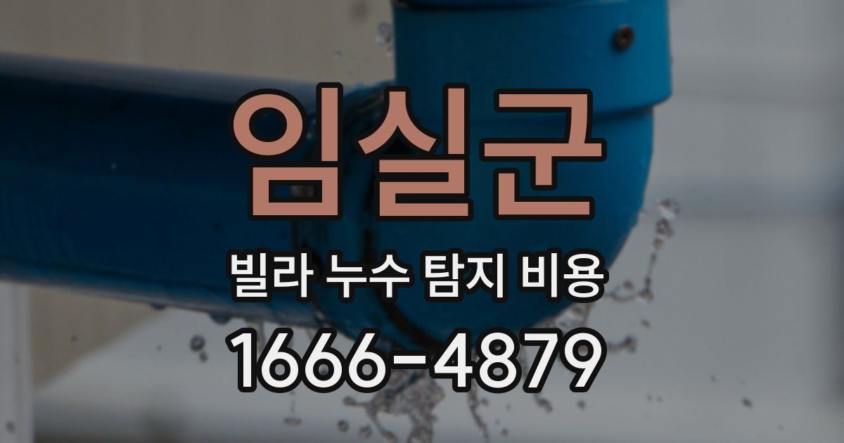 임실군 빌라 누수 탐지 비용