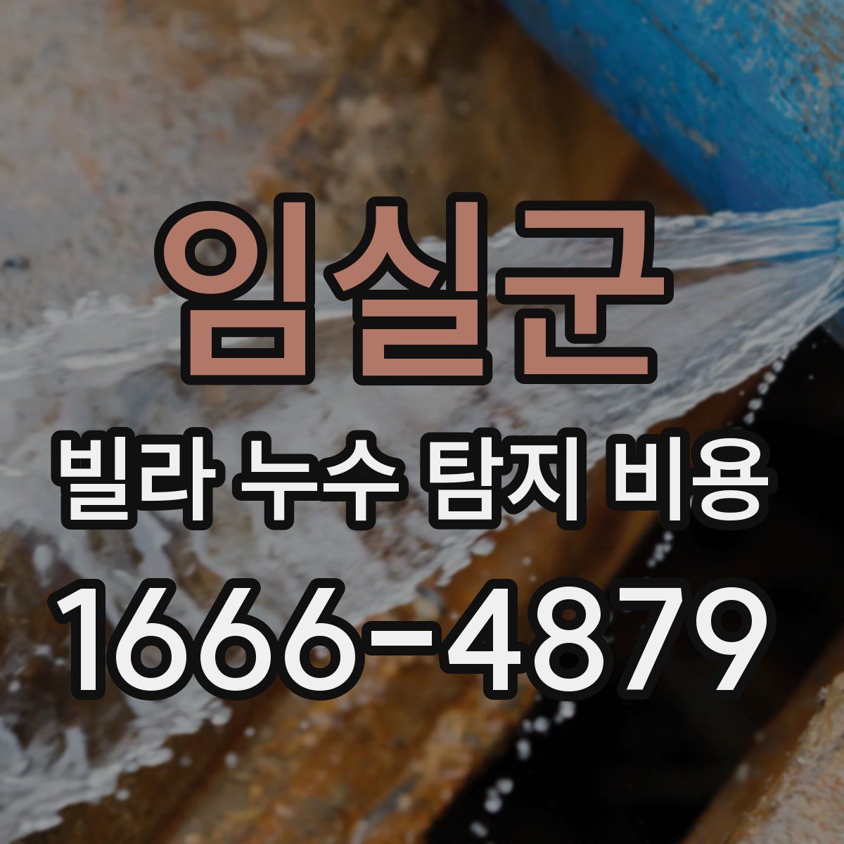 임실군 빌라 누수 탐지 비용