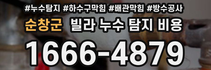 순창군 빌라 누수 탐지 비용