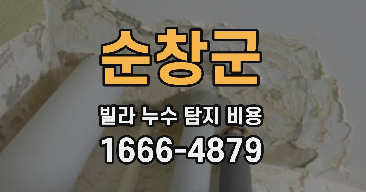 순창군 빌라 누수 탐지 비용