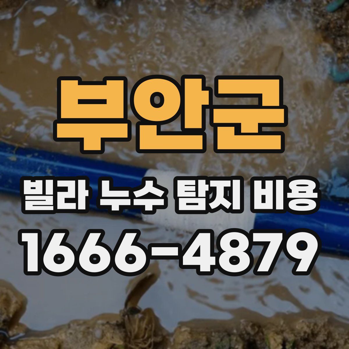 부안군 빌라 누수 탐지 비용