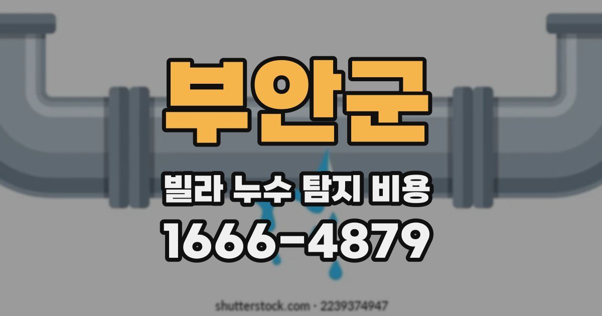 부안군 빌라 누수 탐지 비용