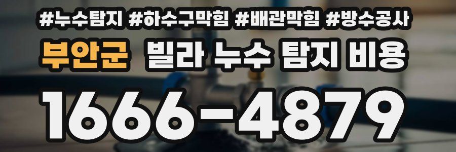 부안군 빌라 누수 탐지 비용