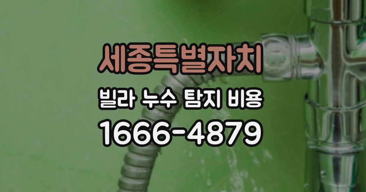 세종특별자치 빌라 누수 탐지 비용