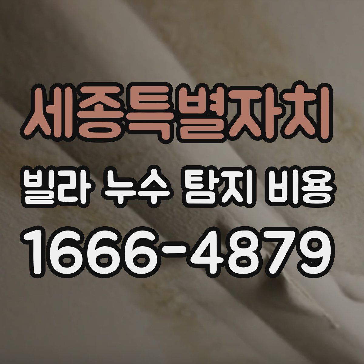 세종특별자치 빌라 누수 탐지 비용