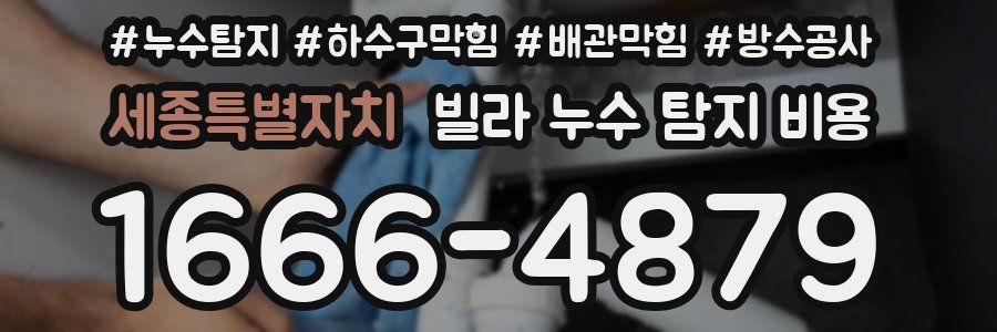 세종특별자치 빌라 누수 탐지 비용