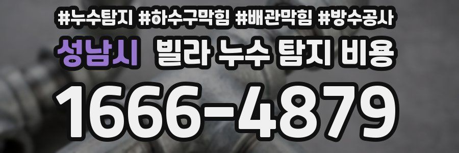 성남시 빌라 누수 탐지 비용