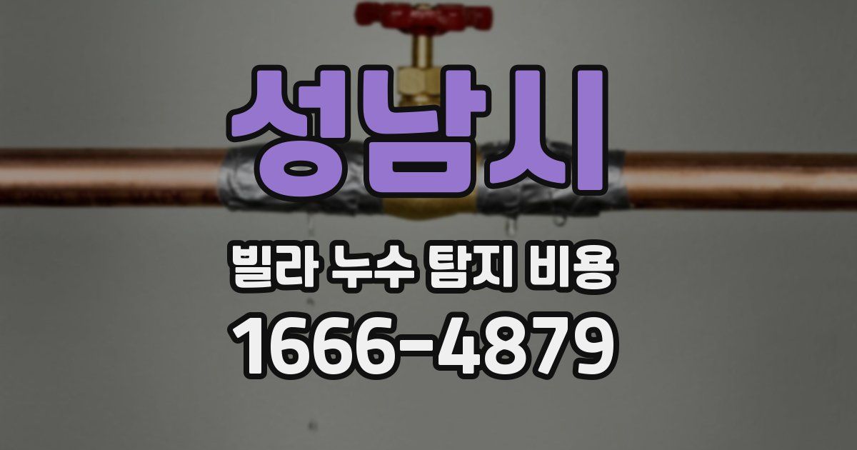 성남시 빌라 누수 탐지 비용