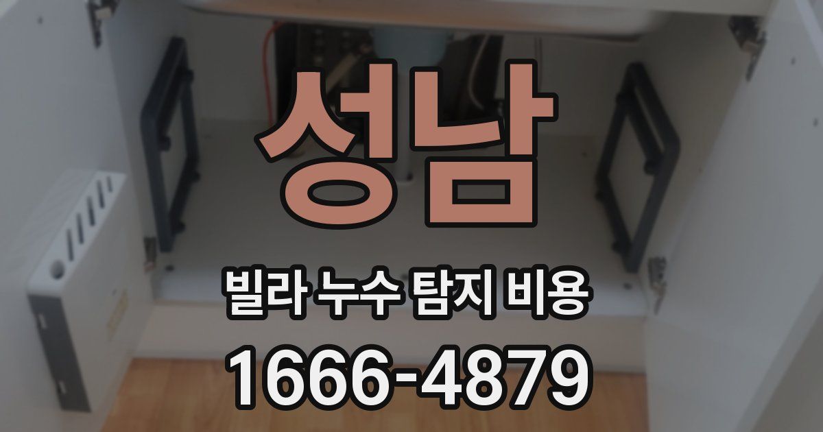 성남 빌라 누수 탐지 비용