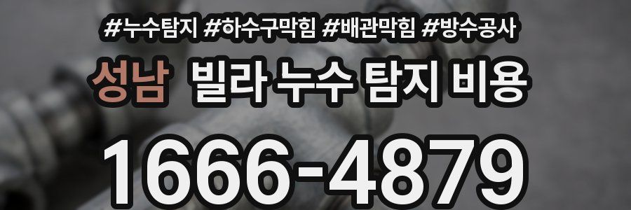 성남 빌라 누수 탐지 비용