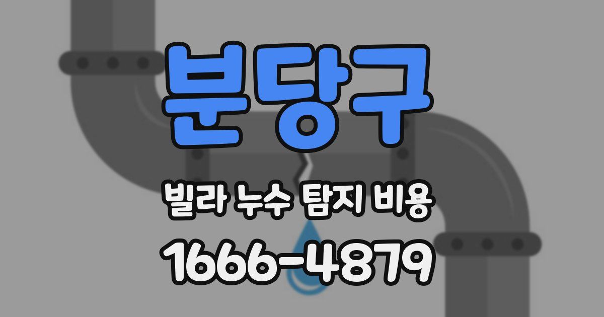 분당구 빌라 누수 탐지 비용