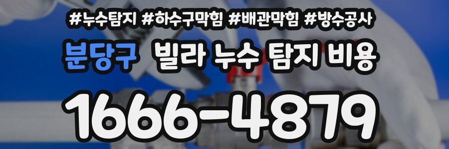 분당구 빌라 누수 탐지 비용