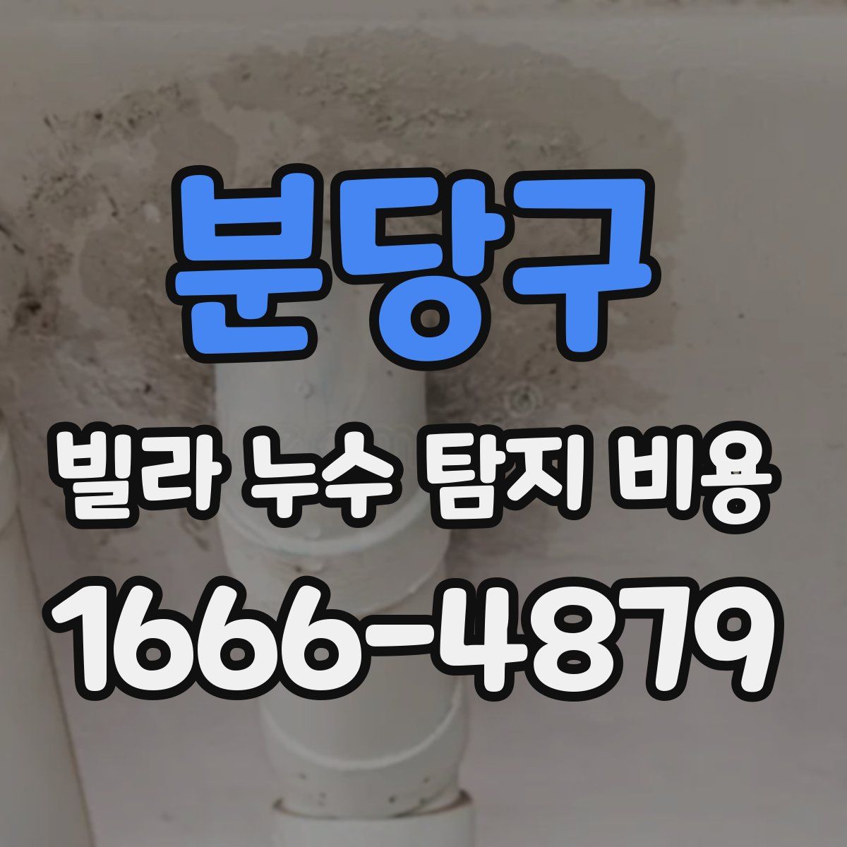 분당구 빌라 누수 탐지 비용