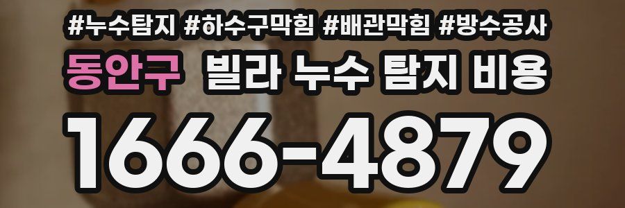 동안구 빌라 누수 탐지 비용