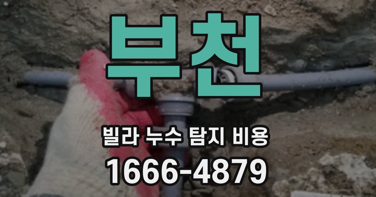 부천 빌라 누수 탐지 비용