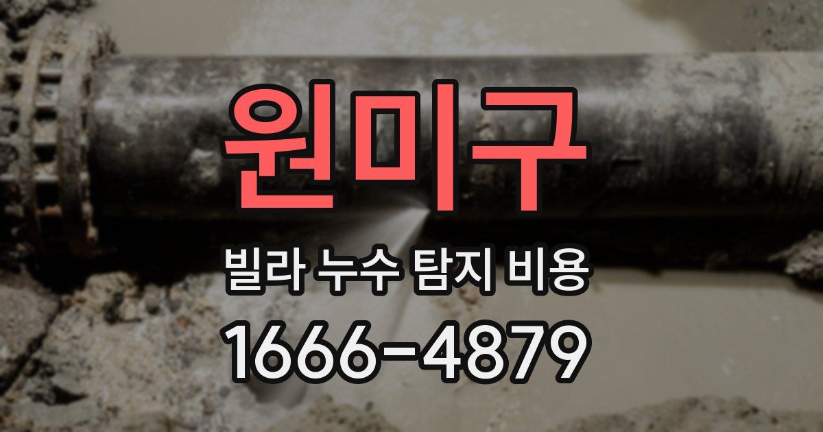 원미구 빌라 누수 탐지 비용