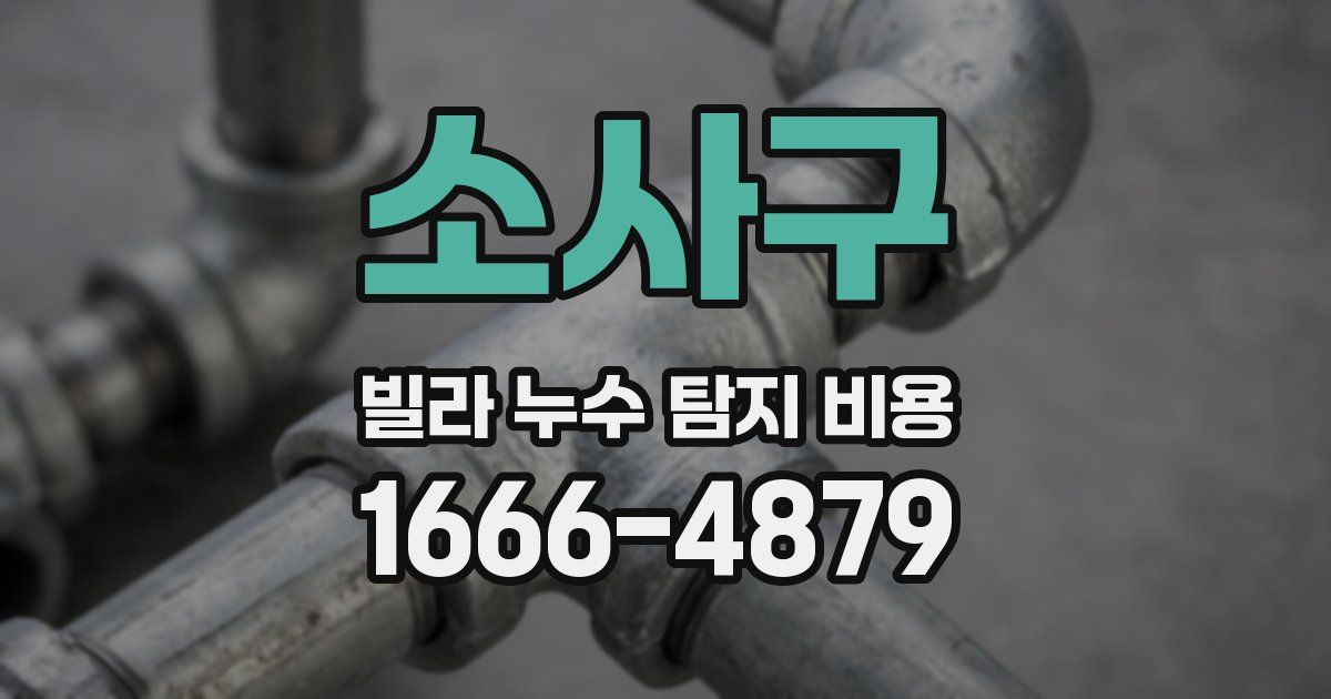 소사구 빌라 누수 탐지 비용