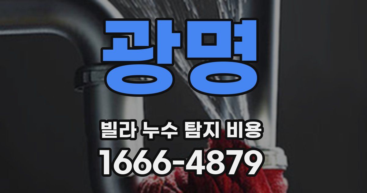 광명 빌라 누수 탐지 비용