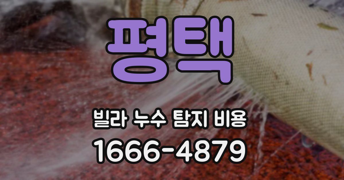 평택 빌라 누수 탐지 비용