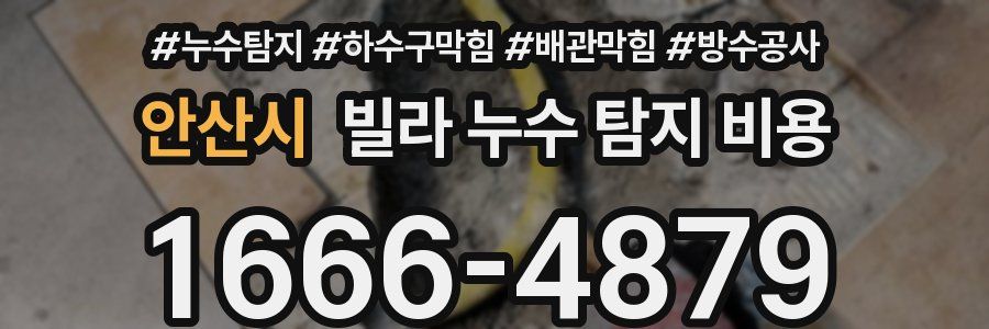 안산시 빌라 누수 탐지 비용
