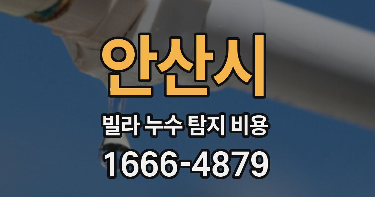 안산시 빌라 누수 탐지 비용