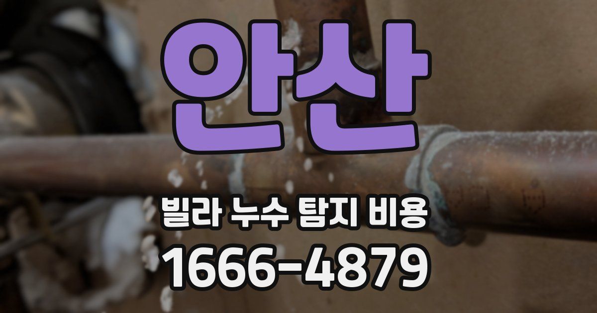 안산 빌라 누수 탐지 비용