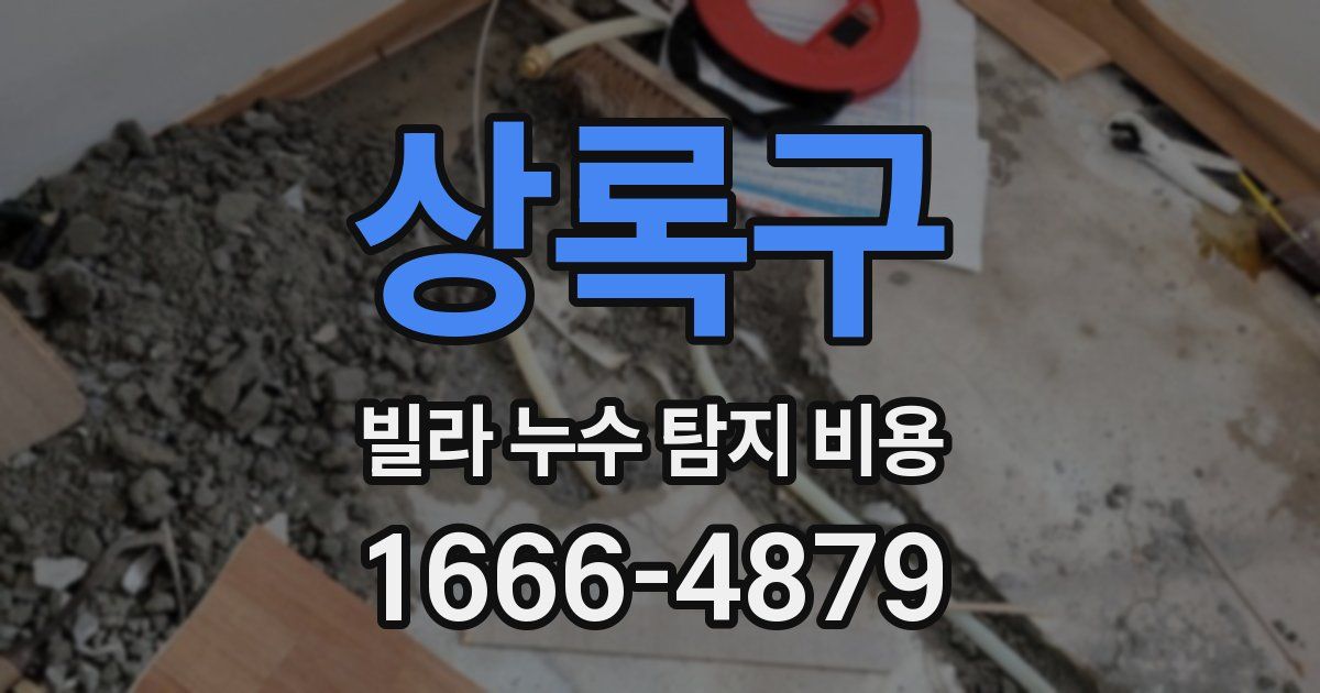 상록구 빌라 누수 탐지 비용