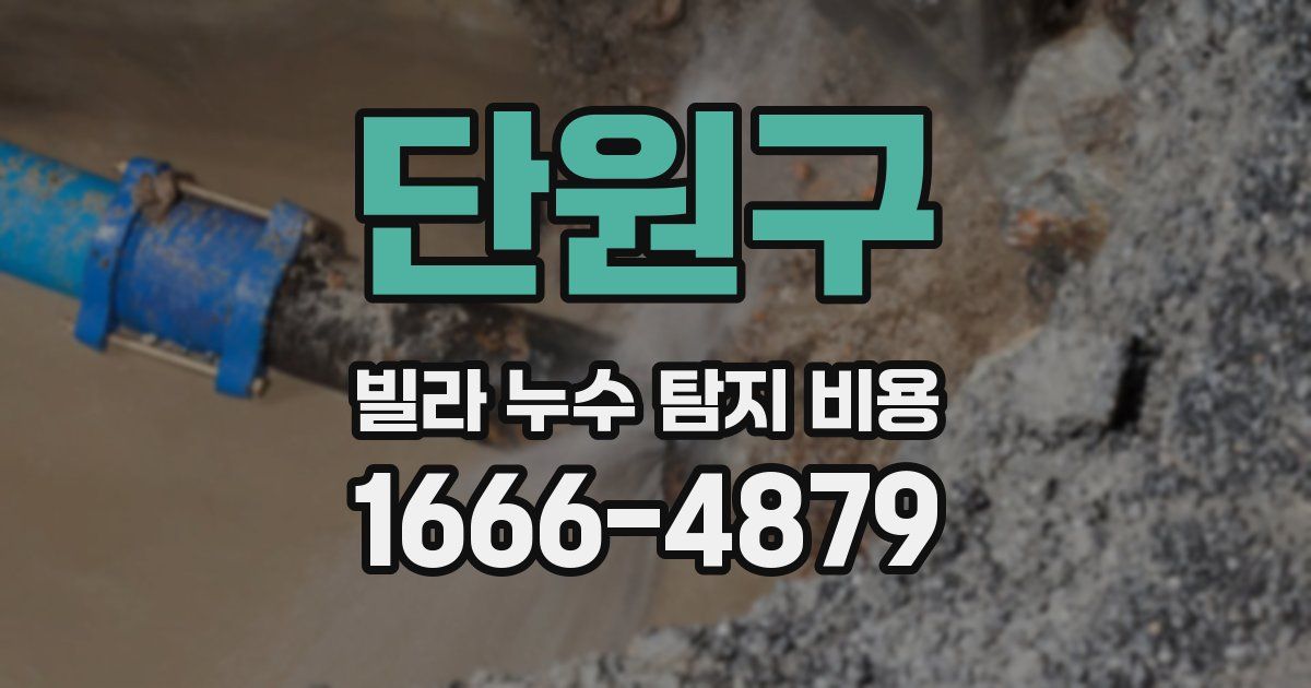 단원구 빌라 누수 탐지 비용