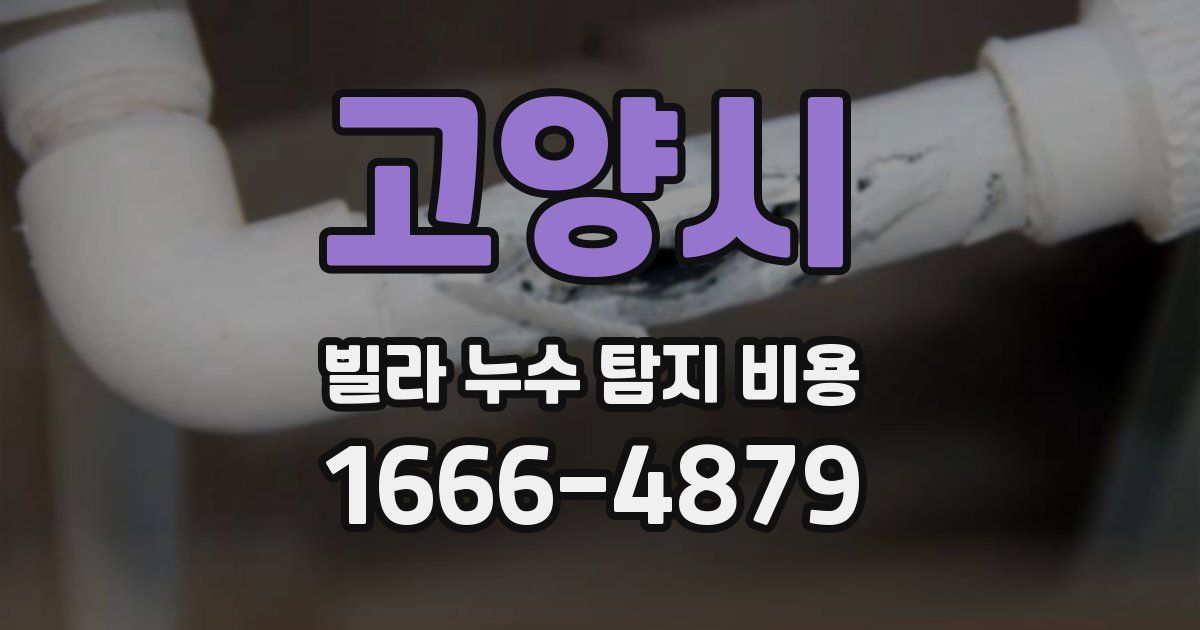 고양시 빌라 누수 탐지 비용