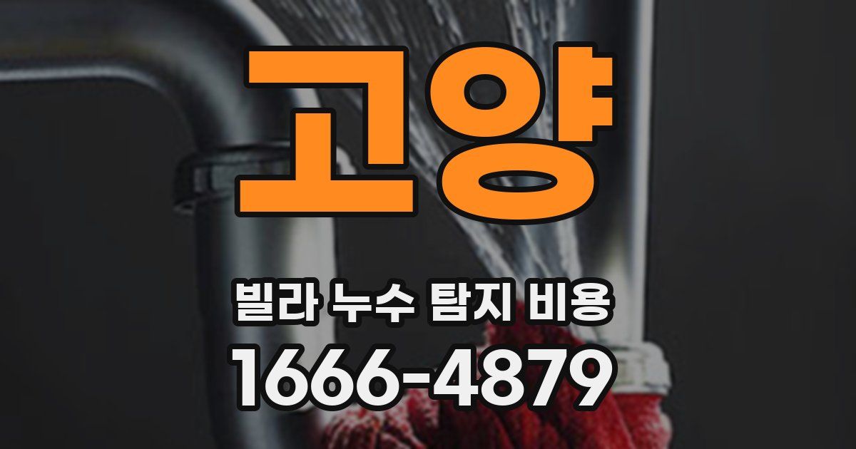 고양 빌라 누수 탐지 비용