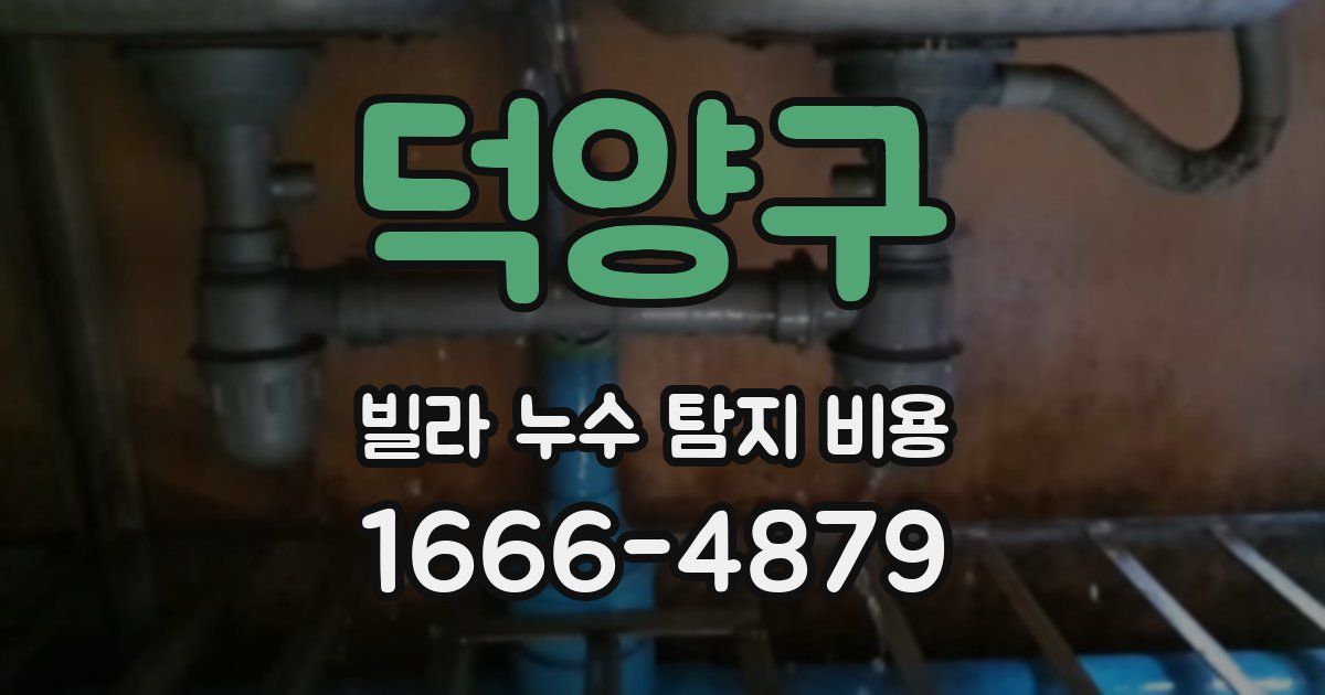 덕양구 빌라 누수 탐지 비용