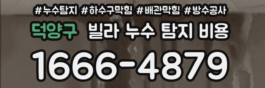 덕양구 빌라 누수 탐지 비용