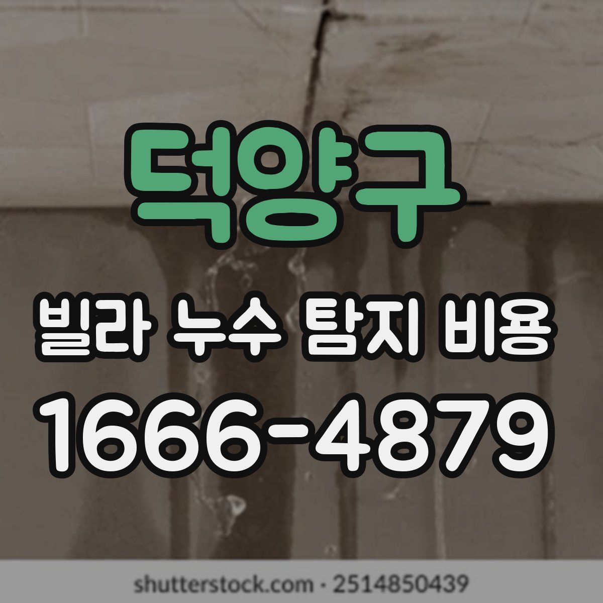 덕양구 빌라 누수 탐지 비용