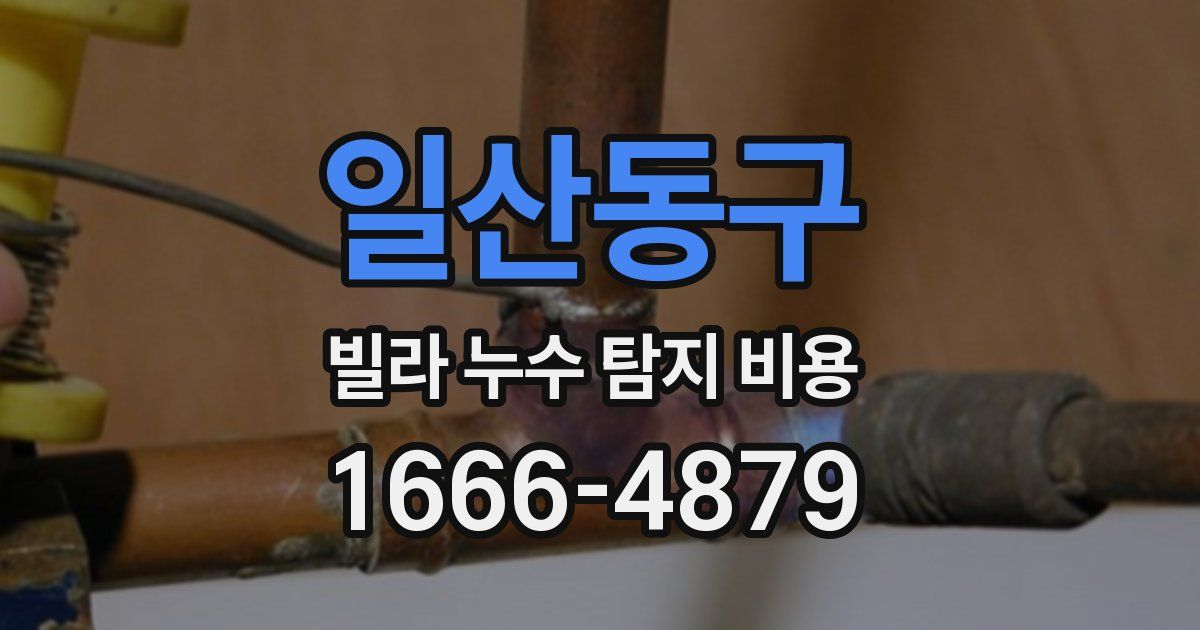 일산동구 빌라 누수 탐지 비용