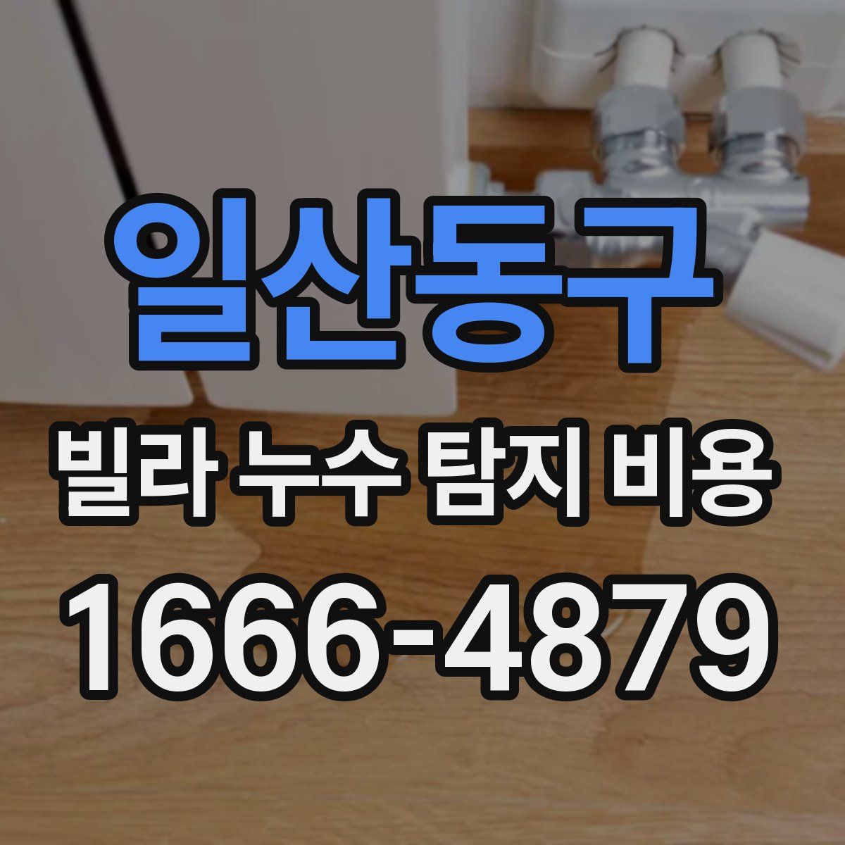 일산동구 빌라 누수 탐지 비용
