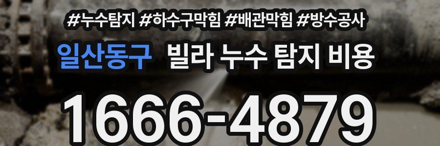 일산동구 빌라 누수 탐지 비용