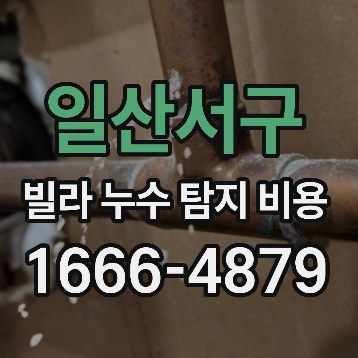 일산서구 빌라 누수 탐지 비용