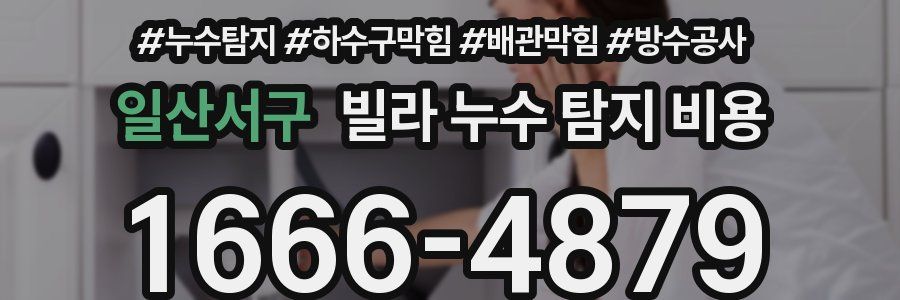 일산서구 빌라 누수 탐지 비용