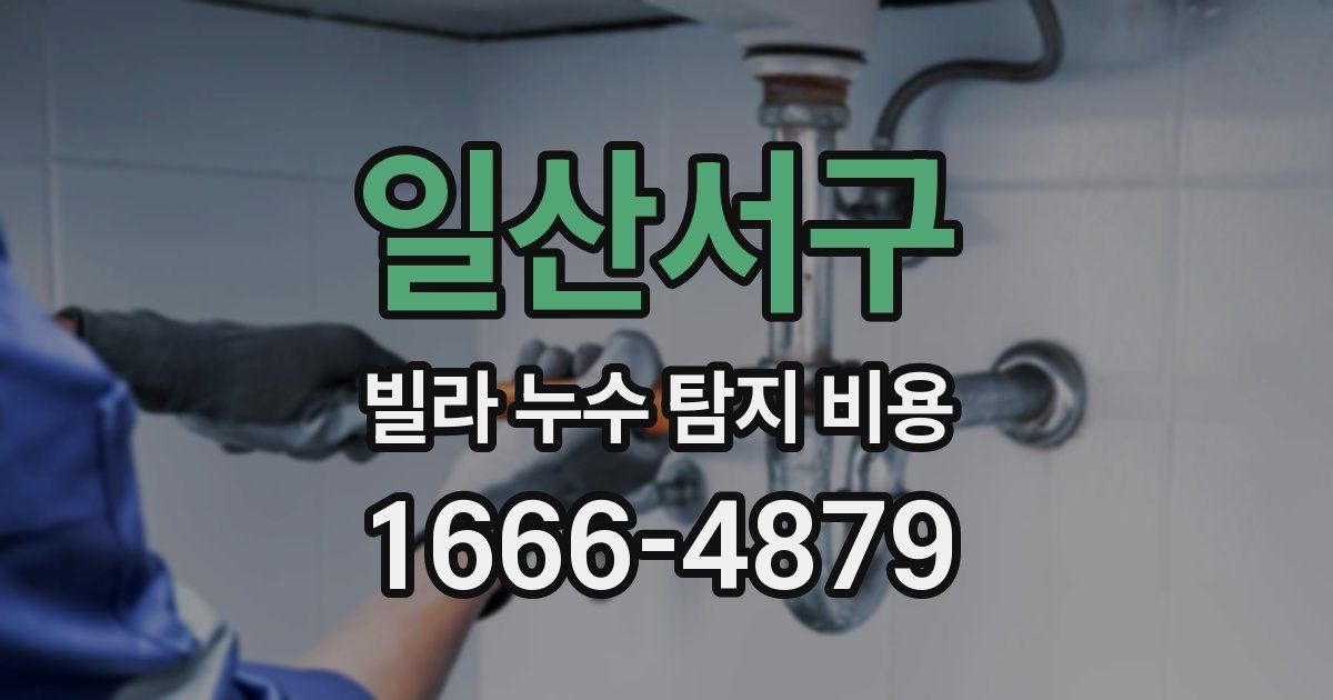 일산서구 빌라 누수 탐지 비용
