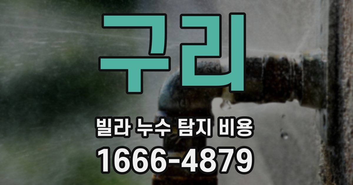 구리 빌라 누수 탐지 비용