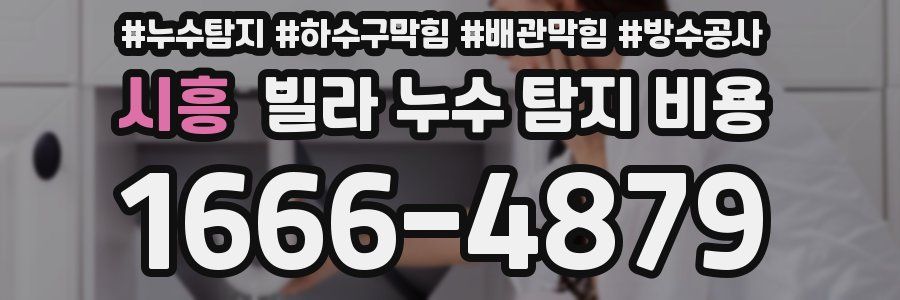 시흥 빌라 누수 탐지 비용